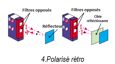 cellules polarisé rétro