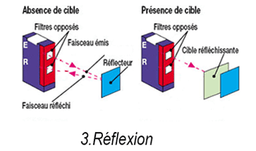 cellules réflexion